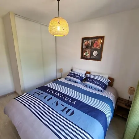 Duplex, Bord Du Avec Piscine Cabane Pignada * Aureilhan (Landes)